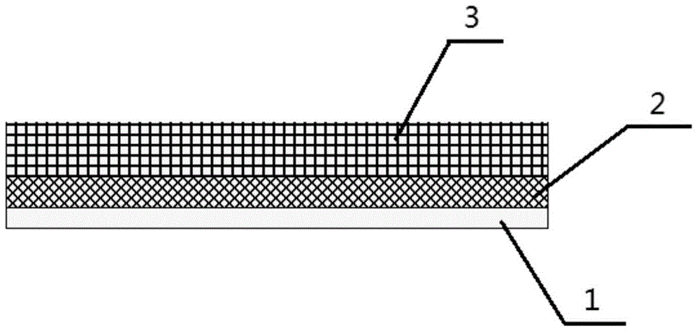 Positive electrode and preparation method therefor, and lithium secondary battery