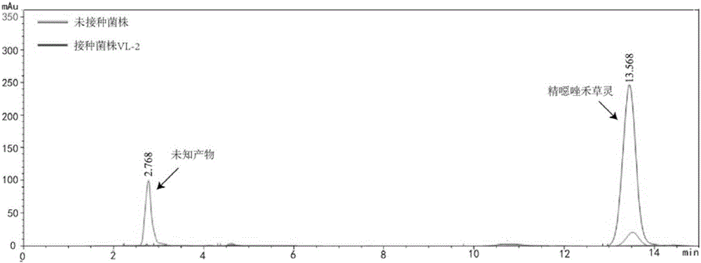 Aryloxyphenoxypropionate weed killer degradation strain and application thereof