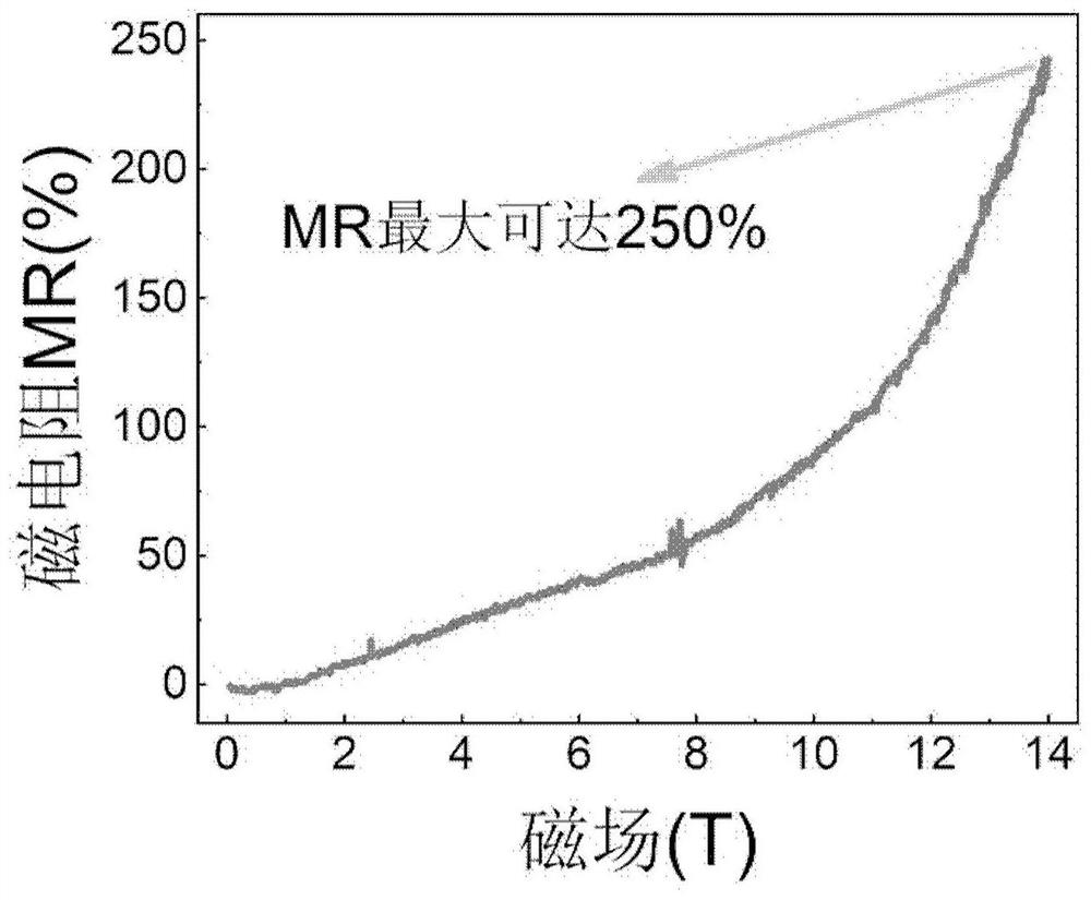 Homojunction magnetoresistive device of magnetic two-dimensional semiconductor, preparation method and application thereof