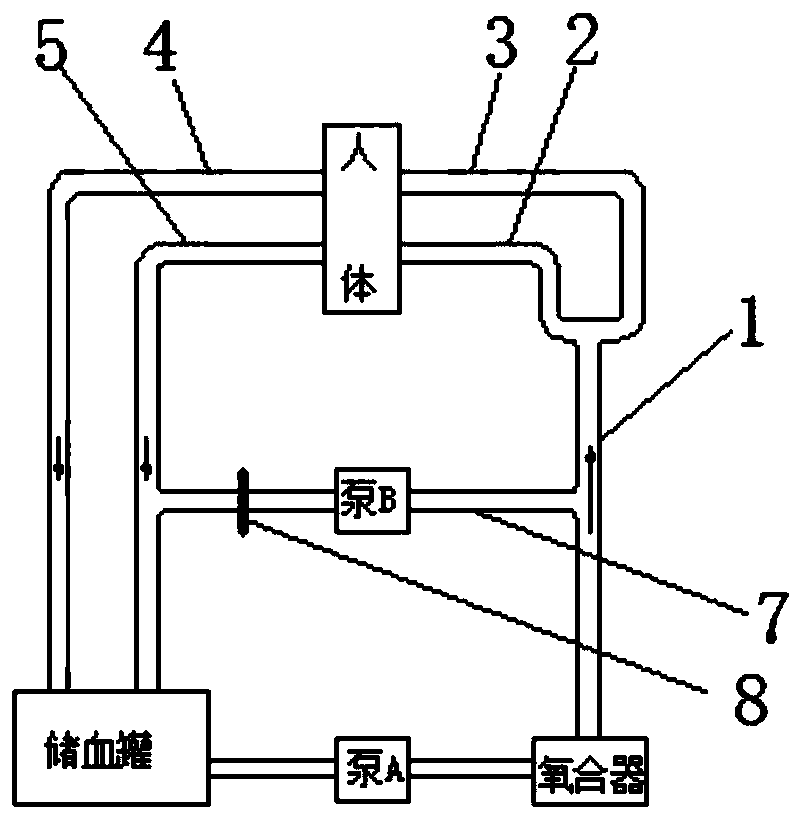 A kind of vena cava retrograde perfusion tube and using method thereof