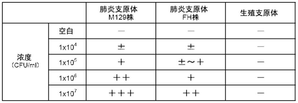 Immunological detection methods and kits for Mycoplasma pneumoniae