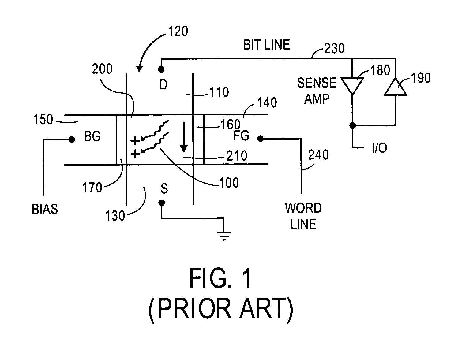 Floating body memory cell having gates favoring different conductivity type regions