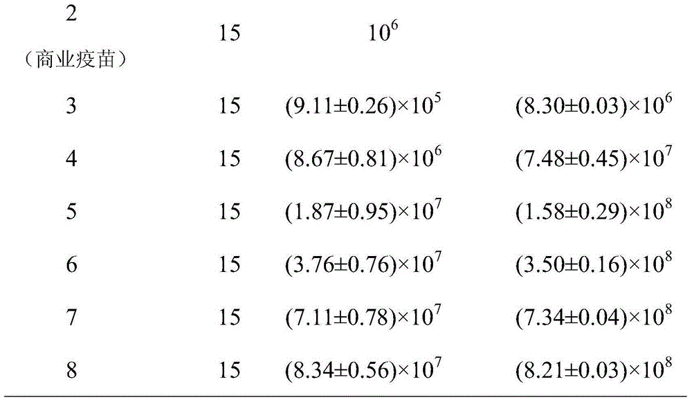 High-efficiency chicken infectious bronchitis inactivated vaccine and preparation method thereof