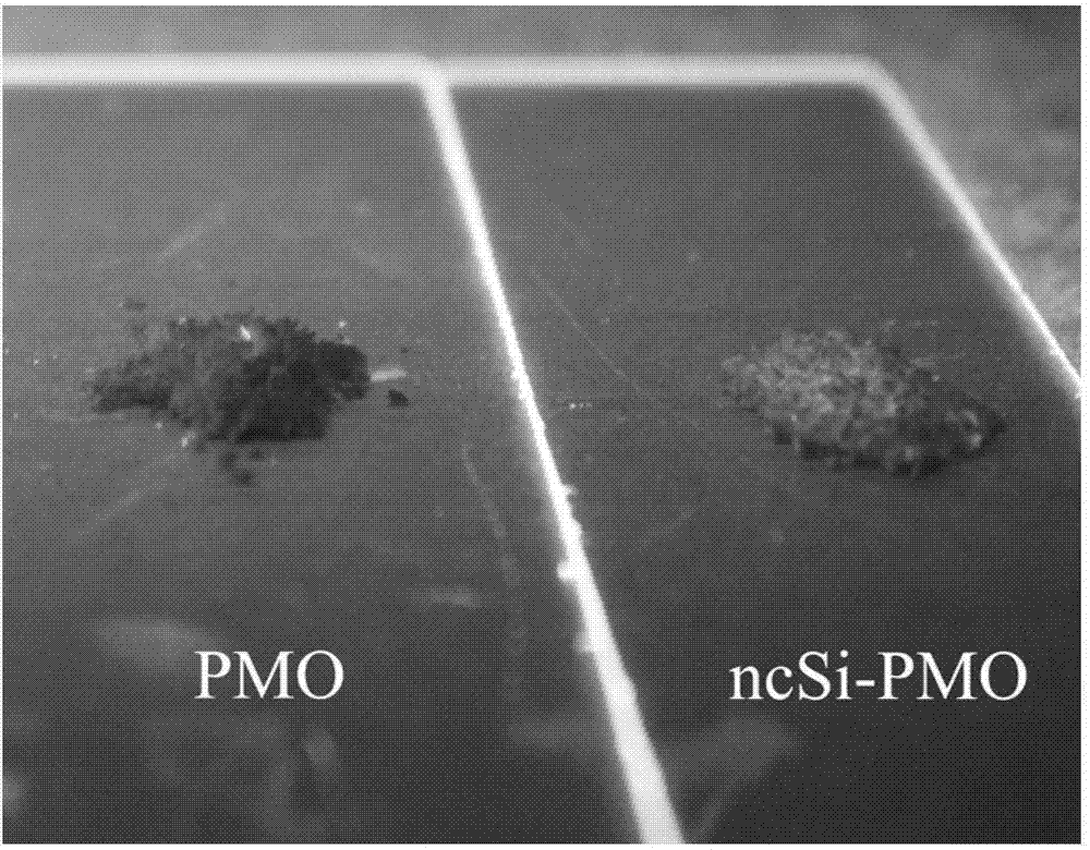 Fluorescent material, and preparation method and application thereof