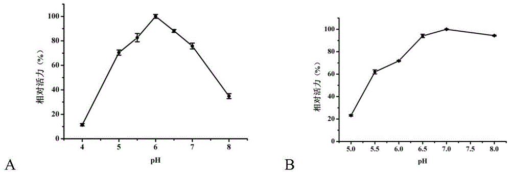 Beta-galactosidase and application thereof