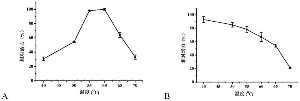 Beta-galactosidase and application thereof