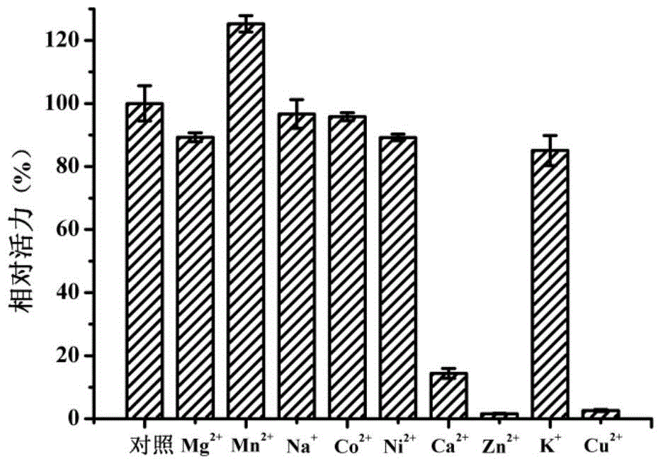 Beta-galactosidase and application thereof