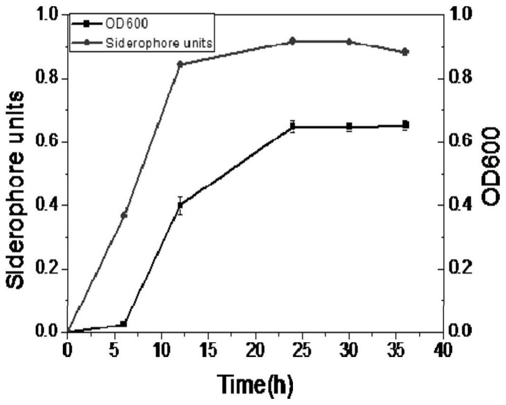 A kind of Pseudomonas fluorescens in peanut rhizosphere and its application