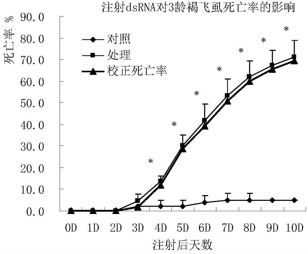 Brown planthopper protein translation elongation factor NlEF1gamma, and encoded protein and application thereof