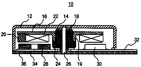 Brushless DC Vibration Motor