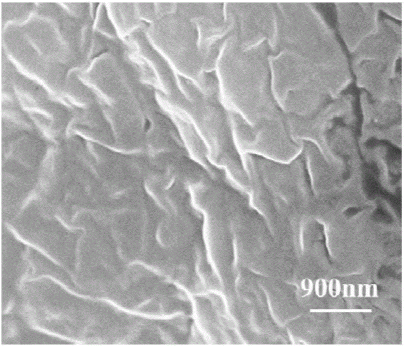 One-component transparent waterborne polyurethane emulsion waterproof paint and preparation method thereof