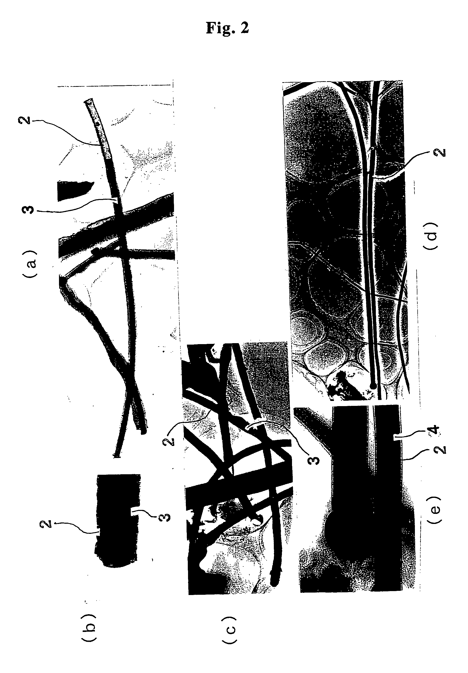 Temperature-sensing element and method of manufacturing the element, and nanothermometer