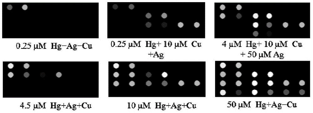 Array sensor for detecting heavy metal ions and its preparation method and application