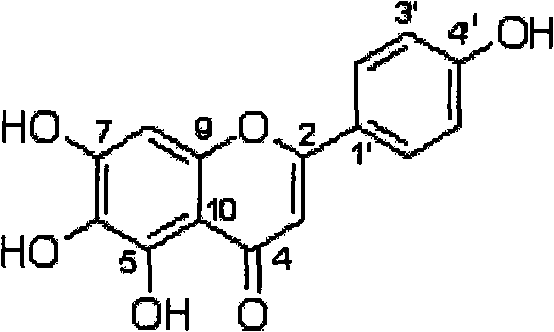 Method for preparing 5,6,7,4'-tetrahydroxyflavone and application of 5,6,7,4'-tetrahydroxyflavone in medicaments