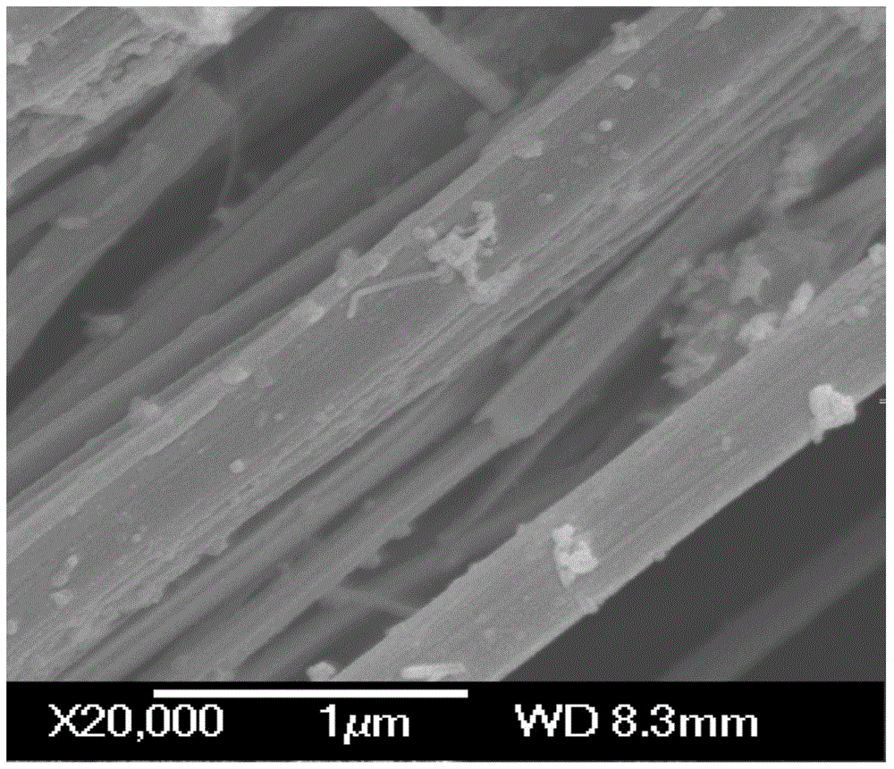 A kind of preparation method of bismuth oxycarbonate nanobelt