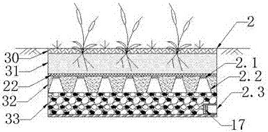 Sponge city rainwater collecting, purifying and utilizing combination system