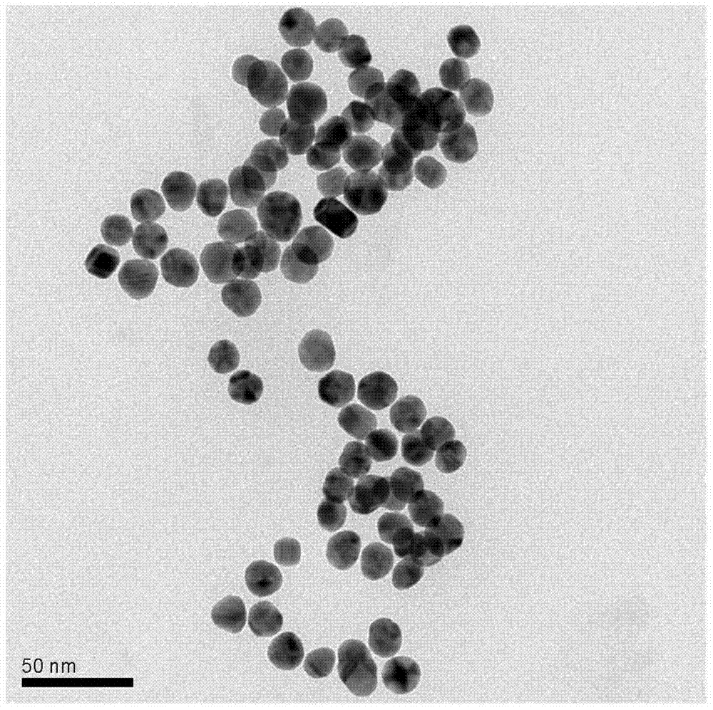 Preparation method of thermosensitive composite gold nanoparticles