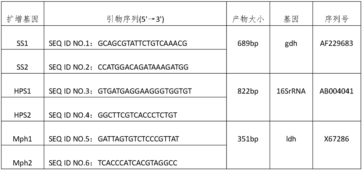 Multiple PCR detection method of swine pathogens