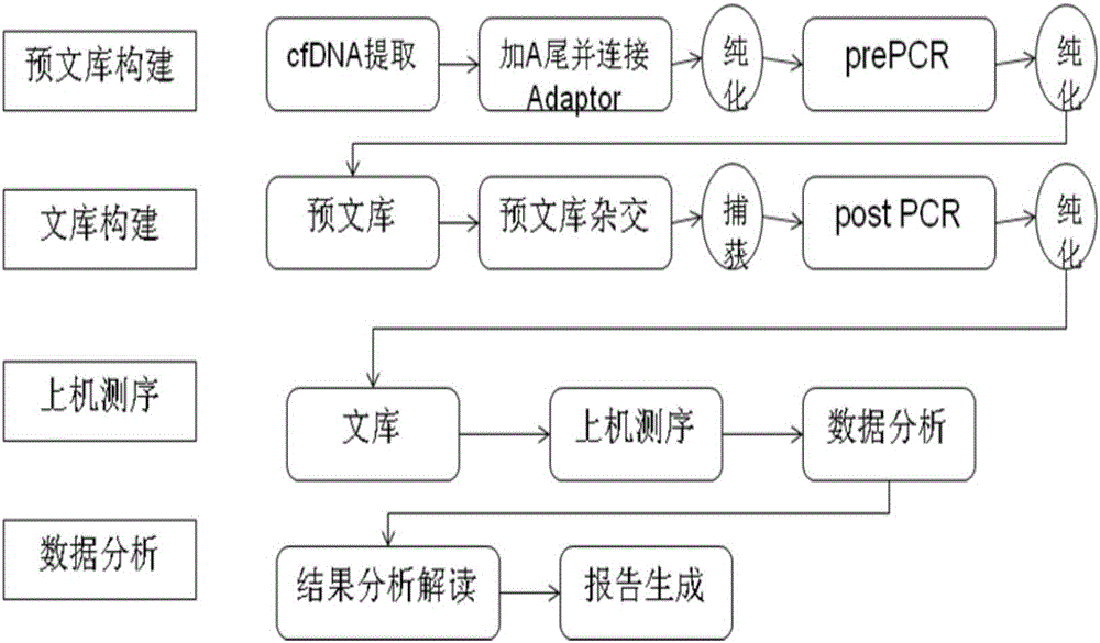 Target region enrichment sequencing method for 165 genes