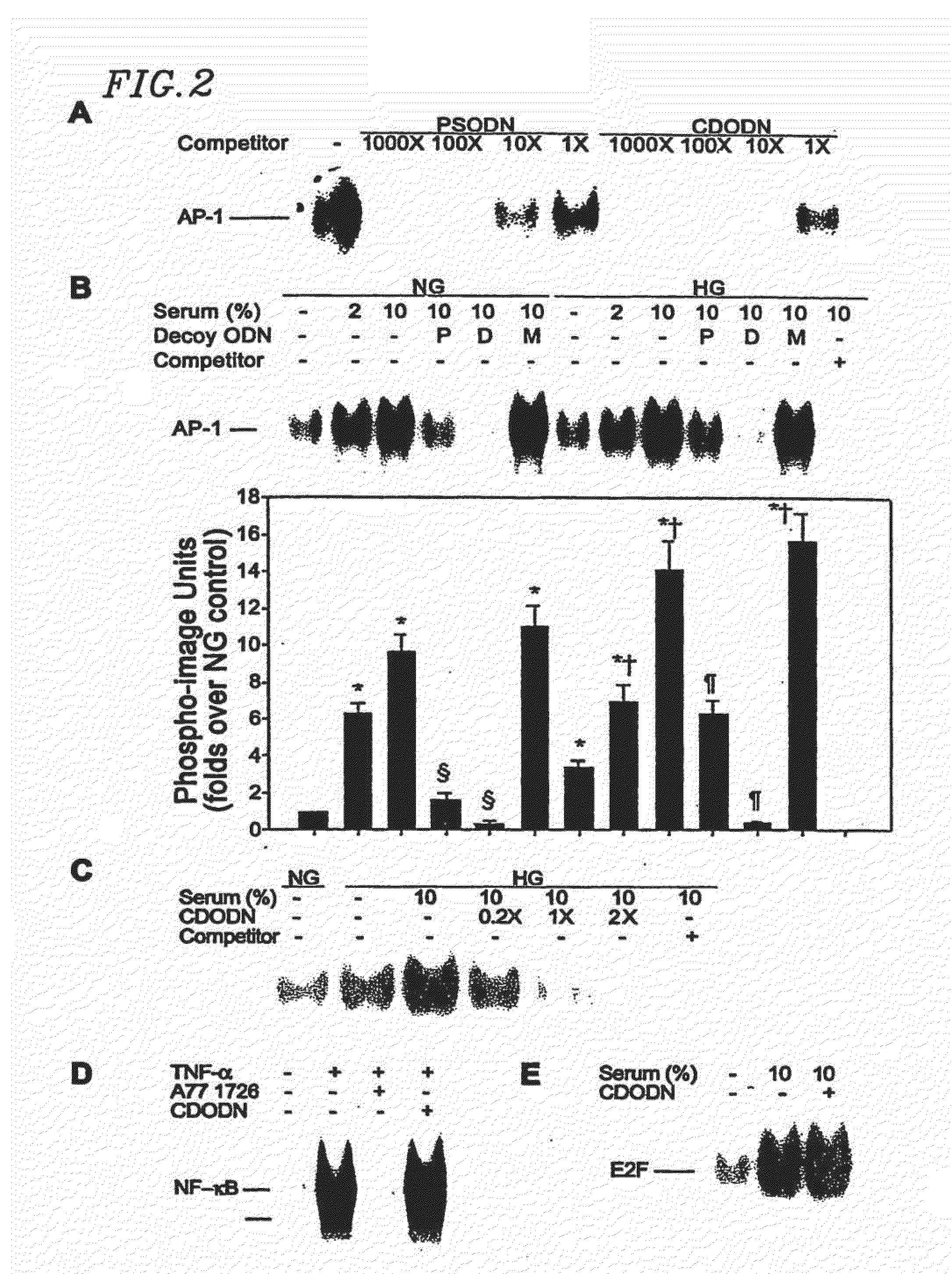 Circular dumbbell decoy oligodeoxynucleotides (CDODN) containing DNA bindings sites of transcription