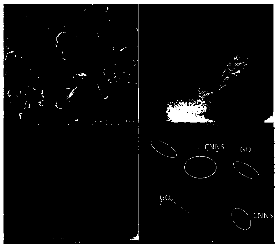 g-C3N4 nanosheet/graphene oxide composite material and preparation method and application thereof