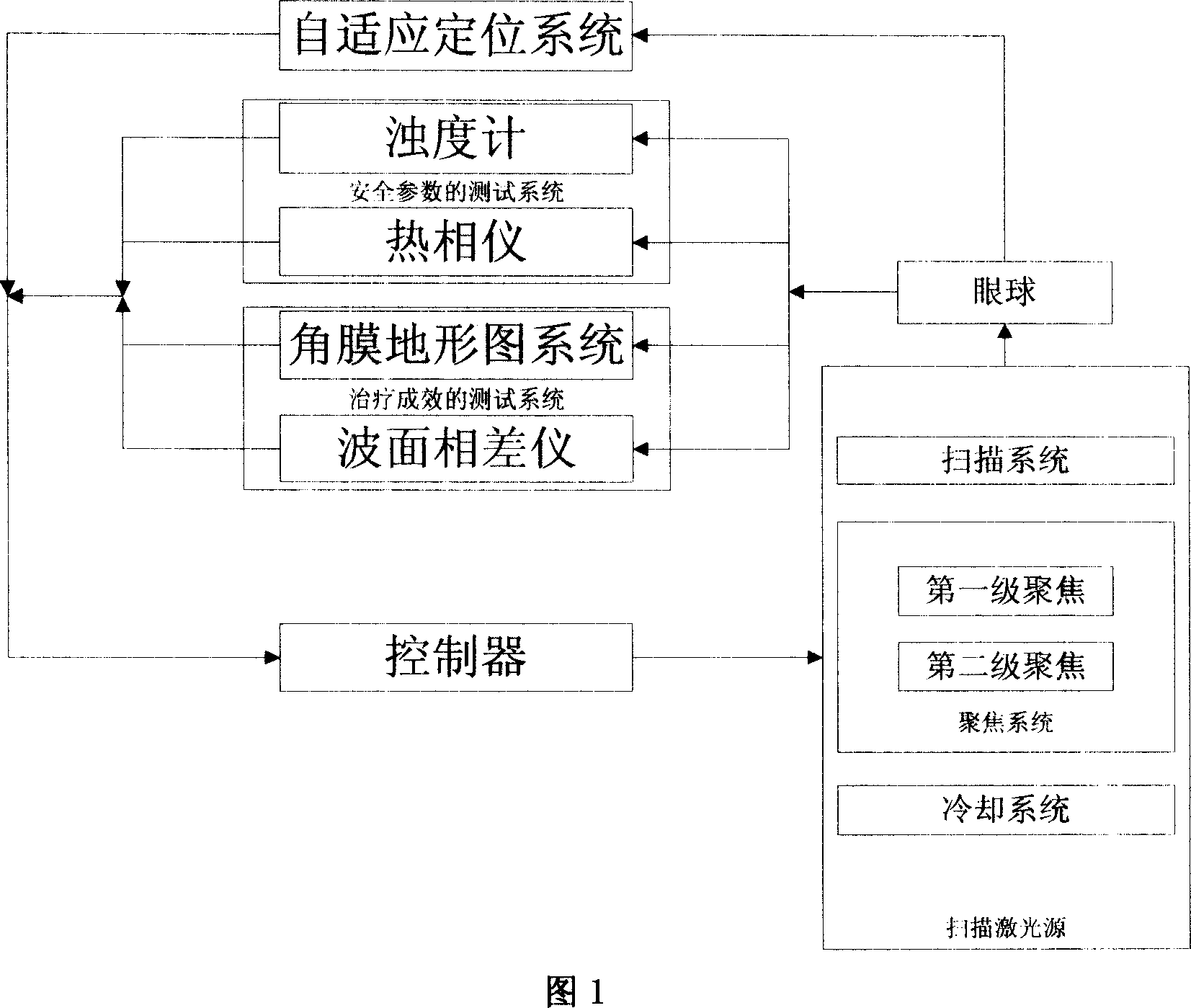 Intravital surgery system for scanning type laser operation of hot forming cornea