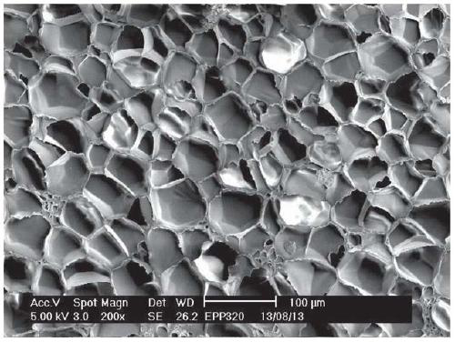 A high-melt strength impact-resistant polypropylene foam material and its preparation method