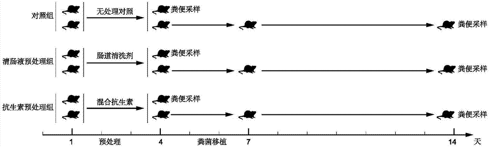 Method for increasing remodeling efficiency of microflora of host intestinal tract