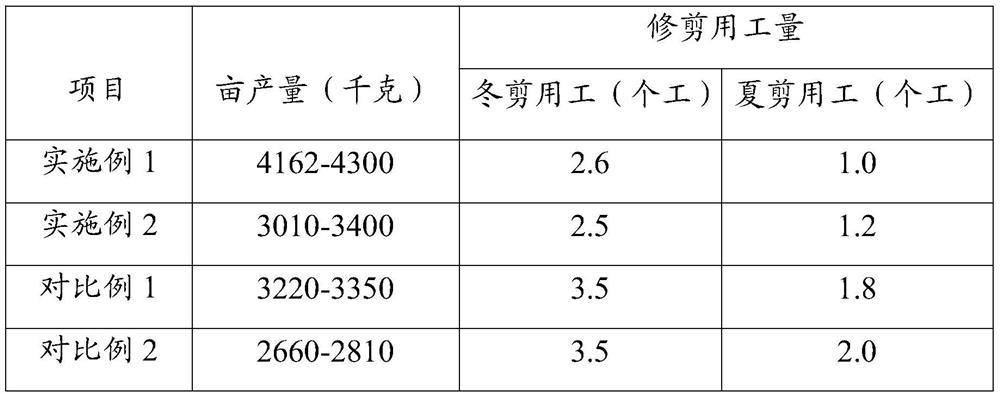 A method of nutrient dispersion and slow pruning for mature peach trees