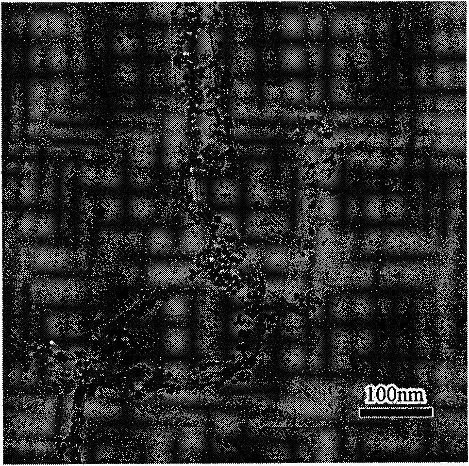 Catalyst using TiO2-coated carbon nano tube composite material as carrier and preparation method thereof