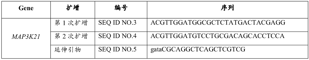 SNP (Single nucleotide polymorphism) locus associated with obesity and/or hypertriglyceridemia in Chinese children and application thereof