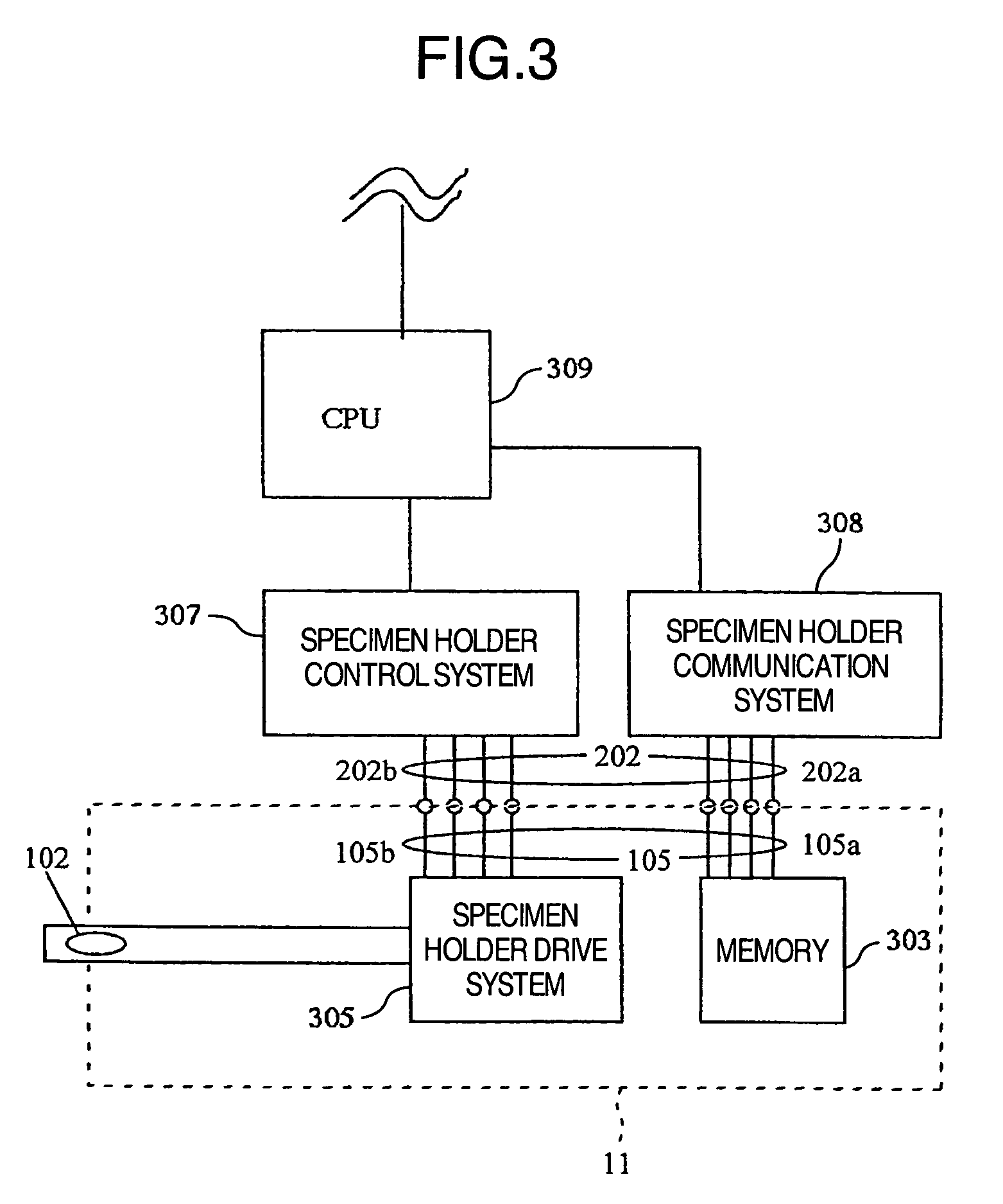 Charged particle beam apparatus and specimen holder