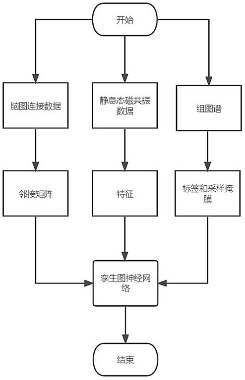 Brain atlas individualization method and system based on magnetic resonance and twin graph neural network