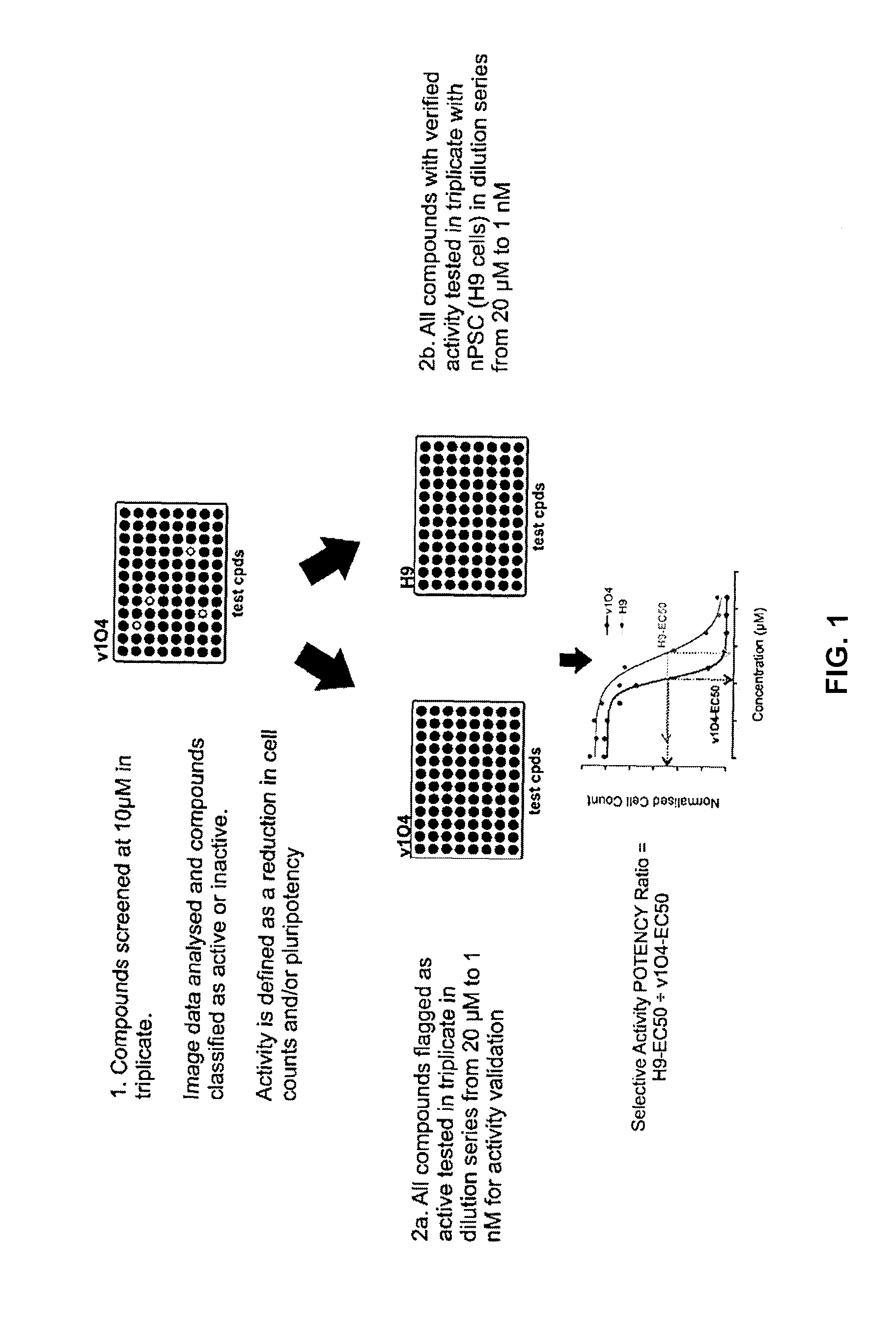 Compounds and methods for selectively targeting cancer stem cells