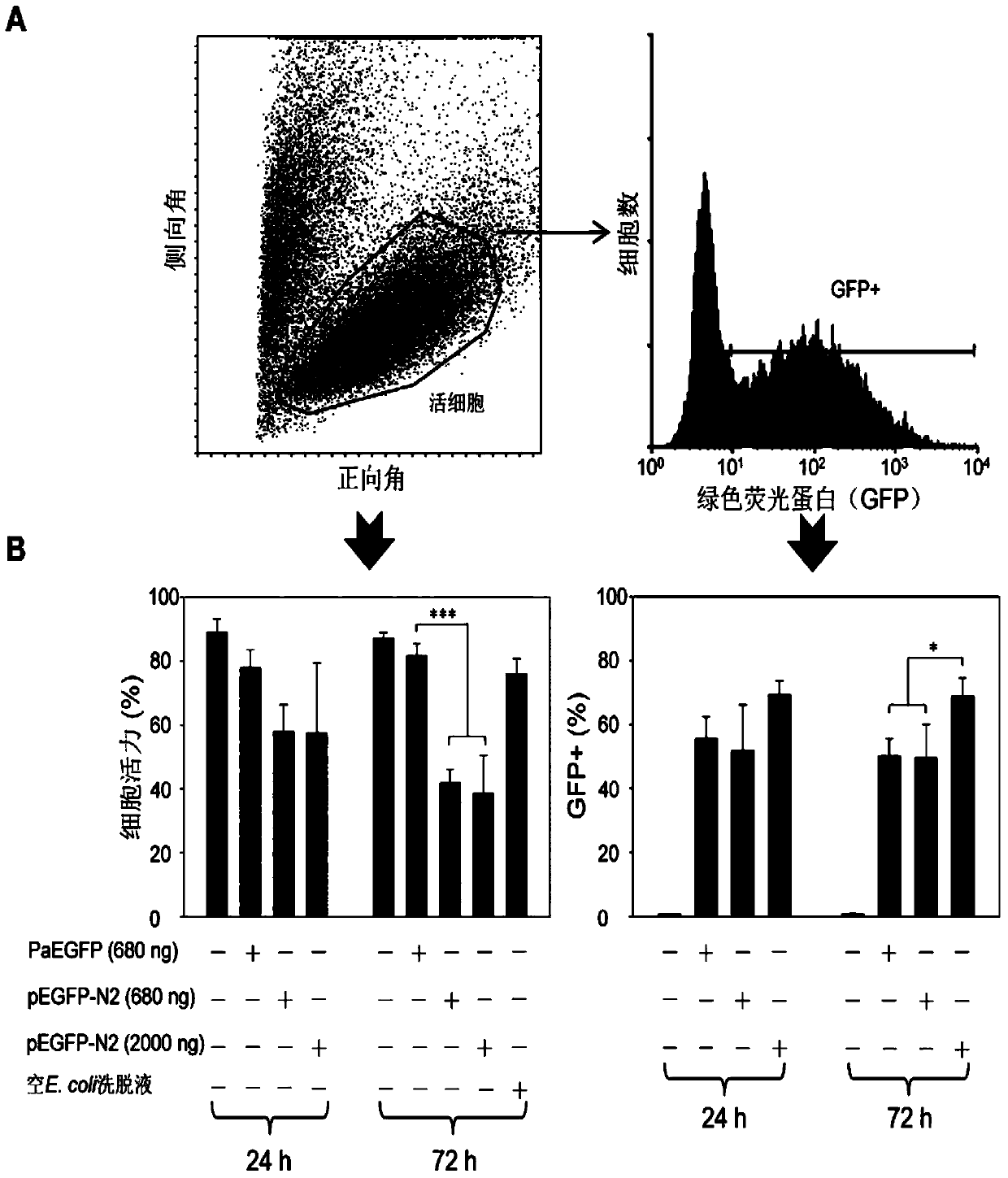 Method for PCR (polymerase chain reaction) amplification of gene nucleofection of suspension animal cells