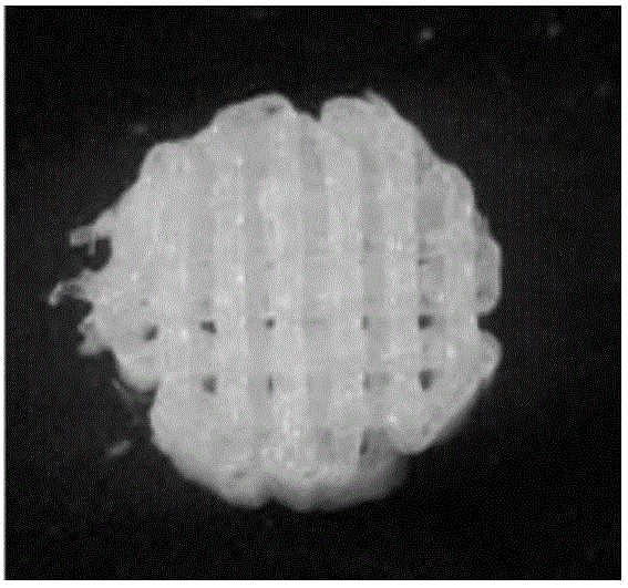 Tissue engineering stent based on low-temperature rapid modeling and preparation method thereof