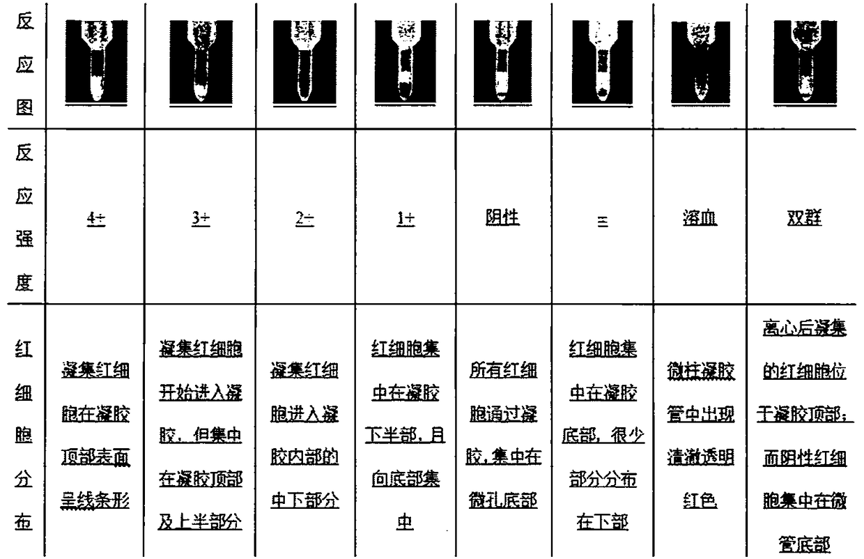 Preparation method of piperacillin monoclonal antibody and application