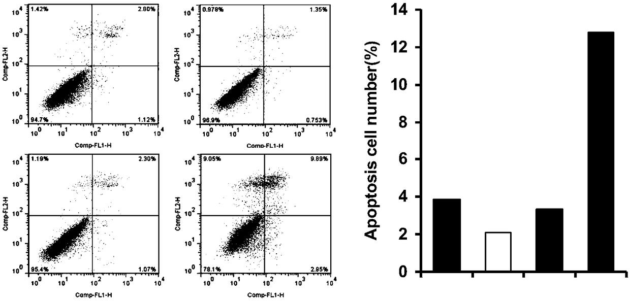 Application of chaetocin in preparation of drugs for preventing and treating hypoxic pulmonary hypertension