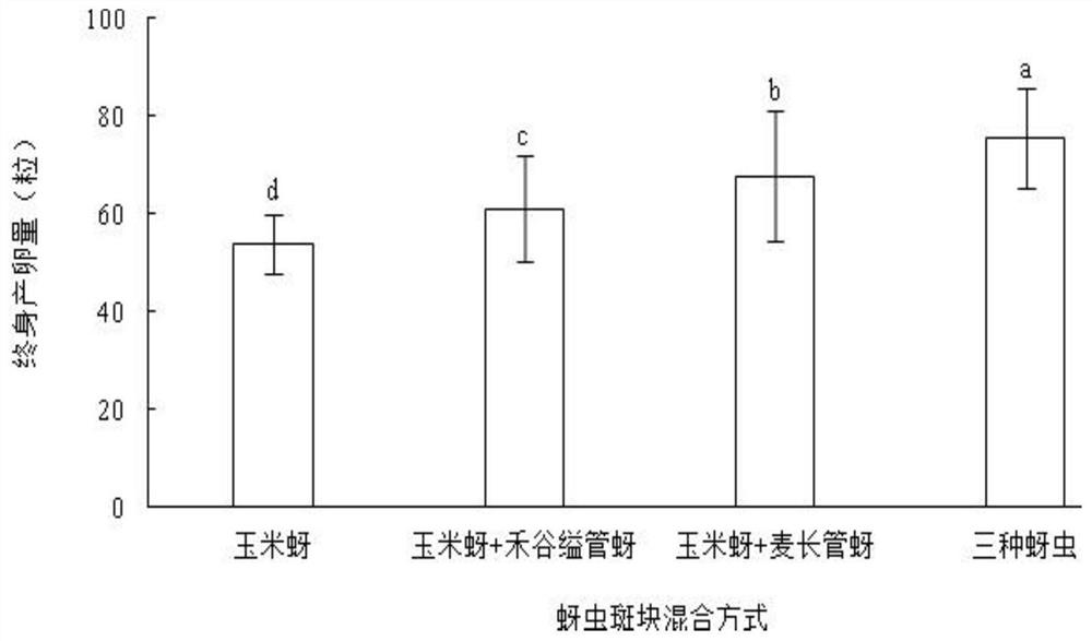 A method of raising aphid-eating gall midges by using a mixed population of various aphids on barley