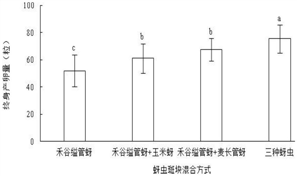 A method of raising aphid-eating gall midges by using a mixed population of various aphids on barley