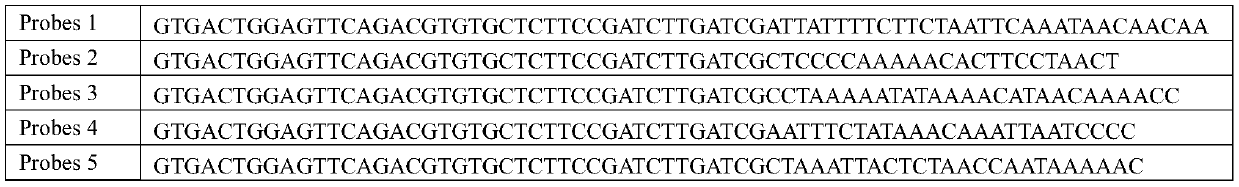 Detecting probe, method and kit for multi-target-point gene mutation, methylation modification and/or hydroxymethylation modification