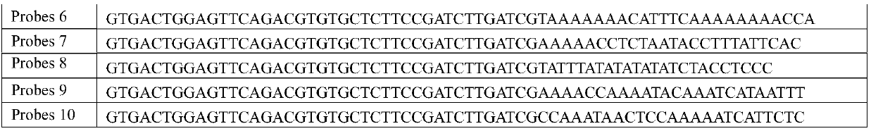 Detecting probe, method and kit for multi-target-point gene mutation, methylation modification and/or hydroxymethylation modification