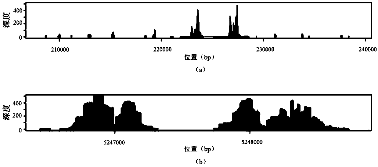 Detecting probe, method and kit for multi-target-point gene mutation, methylation modification and/or hydroxymethylation modification