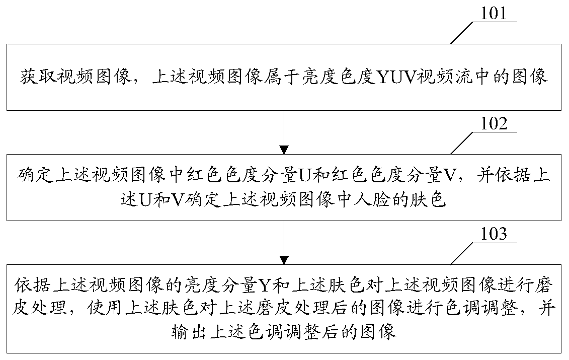 A video image processing method and device