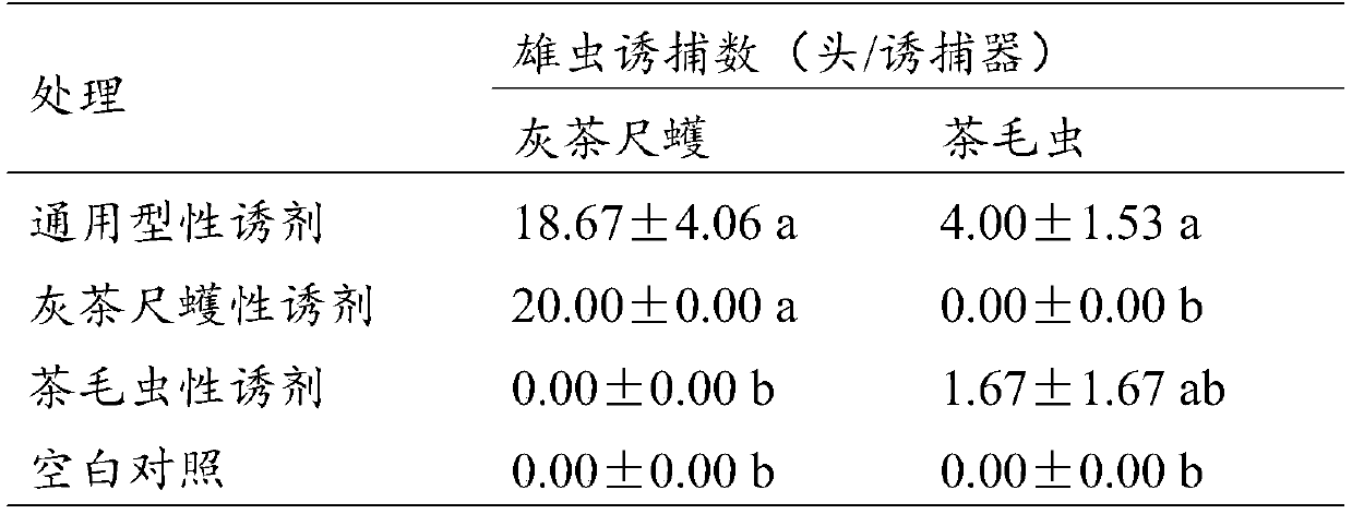 Universal sex pheromone composition, sex attractant for Ectropis grisescens and Euproctis pseudoconspersa as well as preparation method and application of sex attractant