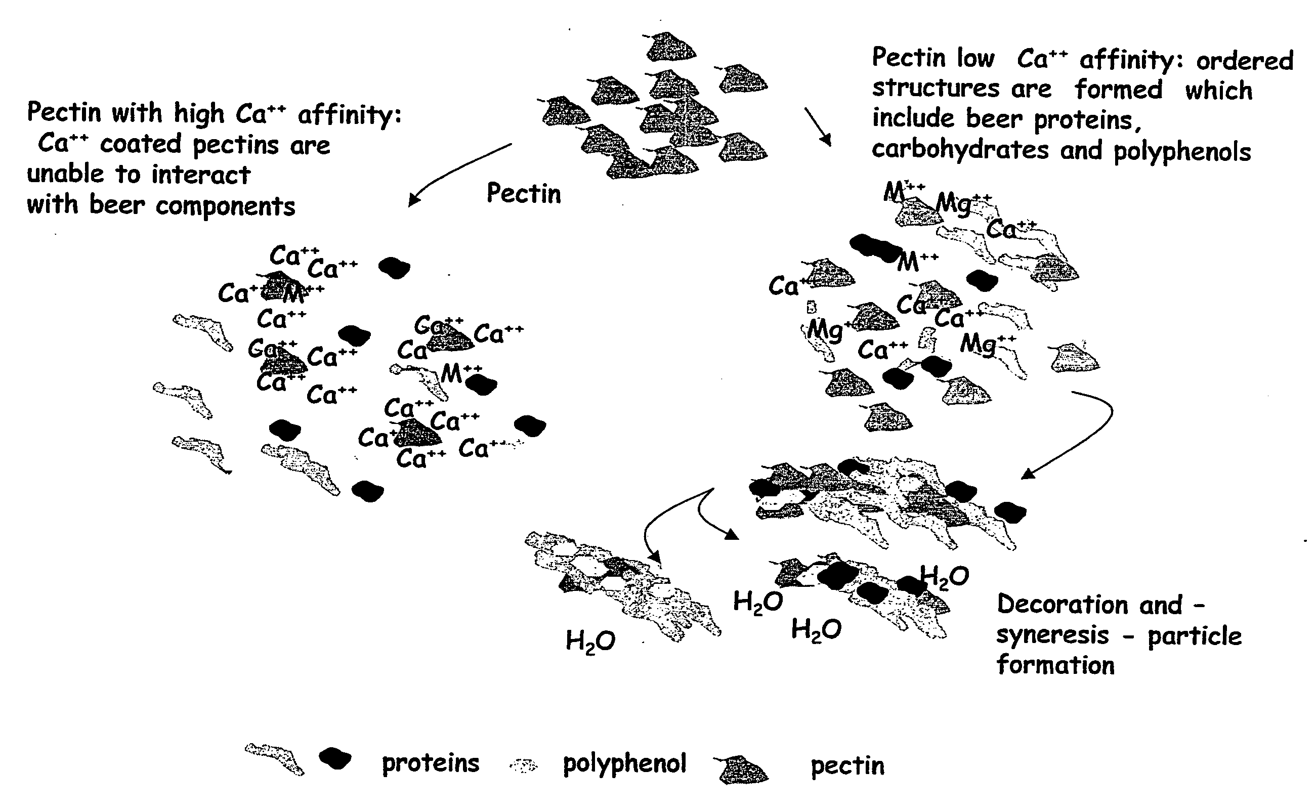 Methods and Compositions for Fining Beverages