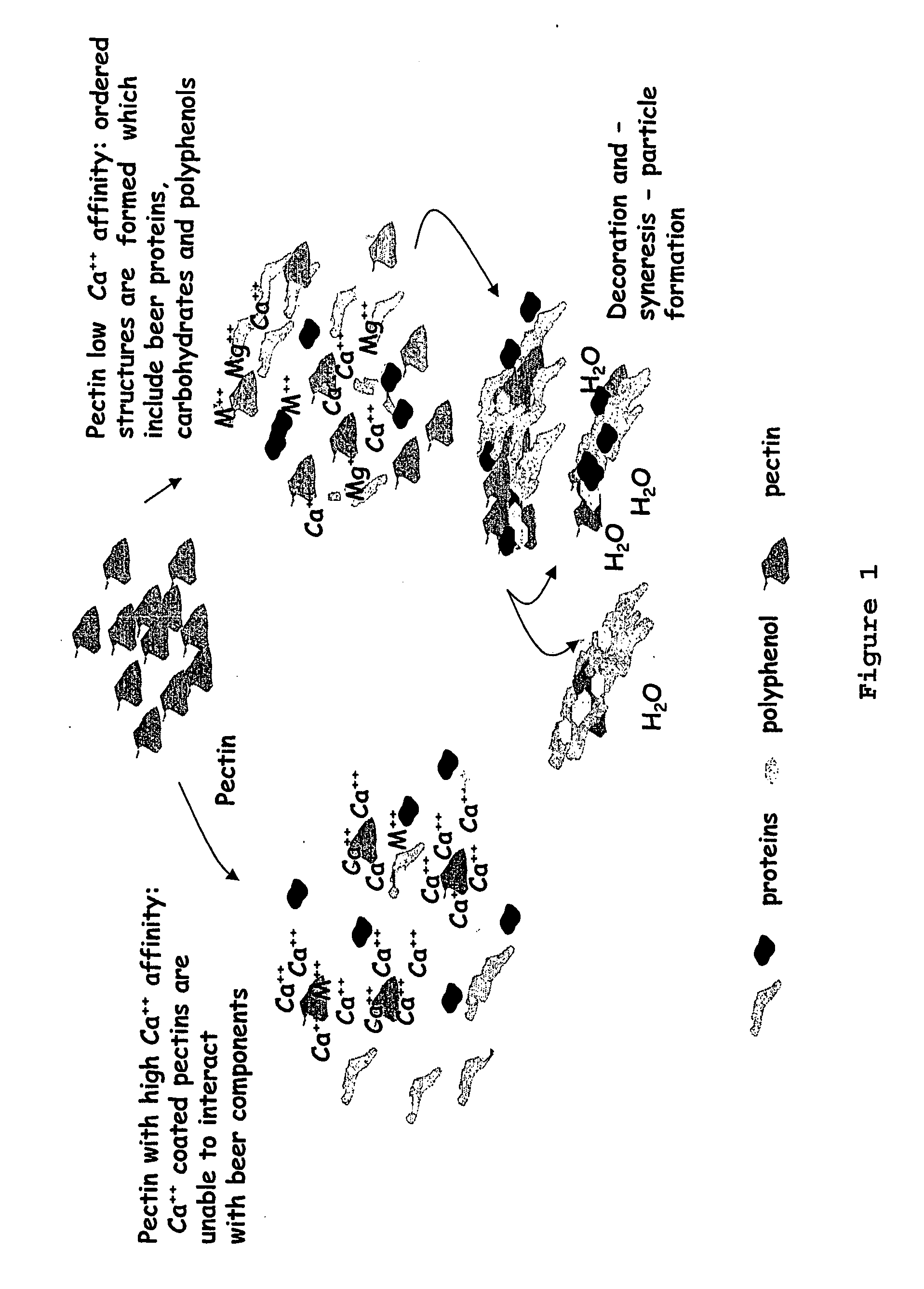 Methods and Compositions for Fining Beverages