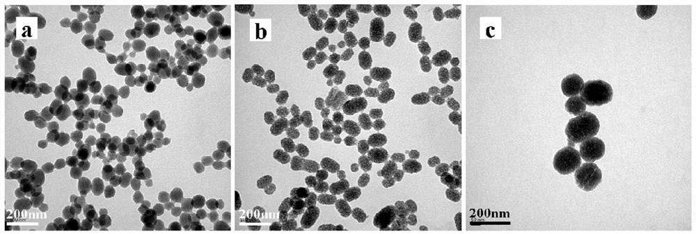 A polyornithine/carboxymethyl lentinan layer-by-layer self-assembled drug carrier and its preparation method