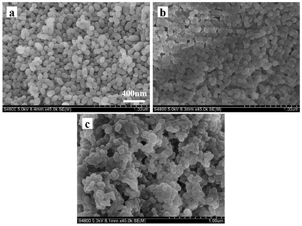 A polyornithine/carboxymethyl lentinan layer-by-layer self-assembled drug carrier and its preparation method