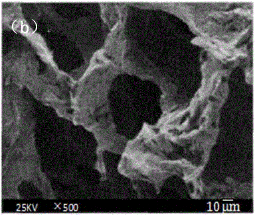 Preparation method of chitosan gel bead